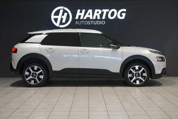 Citroën C4 Cactus - Afbeelding 11 van 30