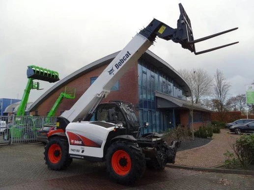 Bobcat  - Afbeelding 1 van 13