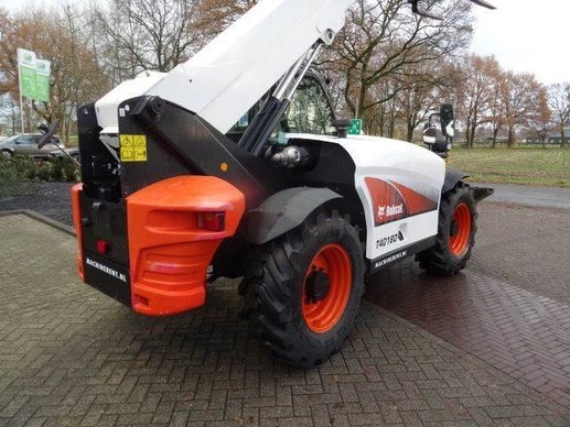Bobcat  - Afbeelding 3 van 13