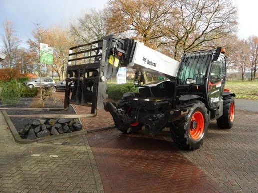 Bobcat  - Afbeelding 6 van 13
