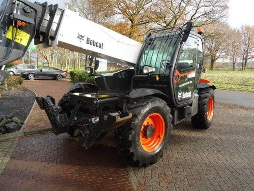 Bobcat  - Afbeelding 7 van 13