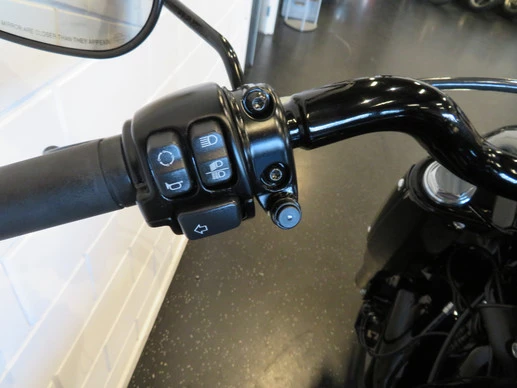 Harley-Davidson Fat Boy - Afbeelding 7 van 16