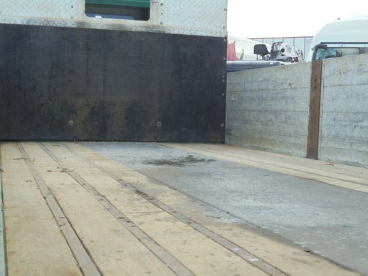 MAN TGS - Afbeelding 19 van 30