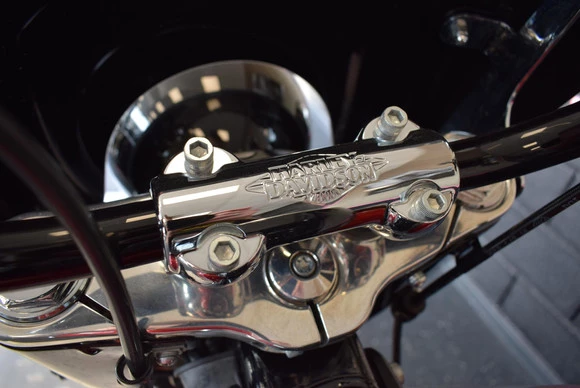 Harley-Davidson Softail - Afbeelding 7 van 12