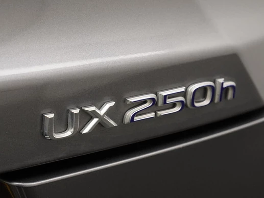 Lexus UX - Afbeelding 24 van 30