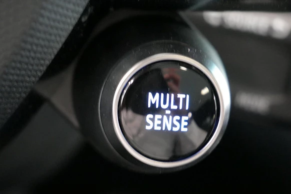 Renault Rafale - Afbeelding 25 van 30