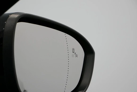 Renault Rafale - Afbeelding 30 van 30