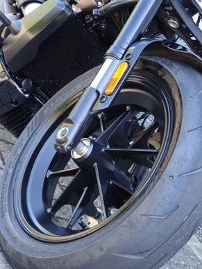 Harley-Davidson Sportster - Afbeelding 5 van 17