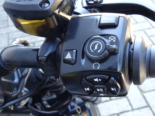Harley-Davidson Sportster - Afbeelding 9 van 17