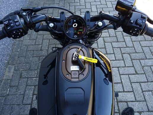 Harley-Davidson Sportster - Afbeelding 12 van 17