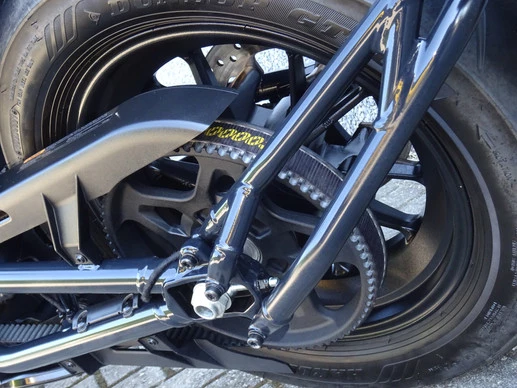 Harley-Davidson Sportster - Afbeelding 15 van 17