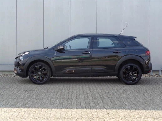 Citroën C4 Cactus - Afbeelding 3 van 30