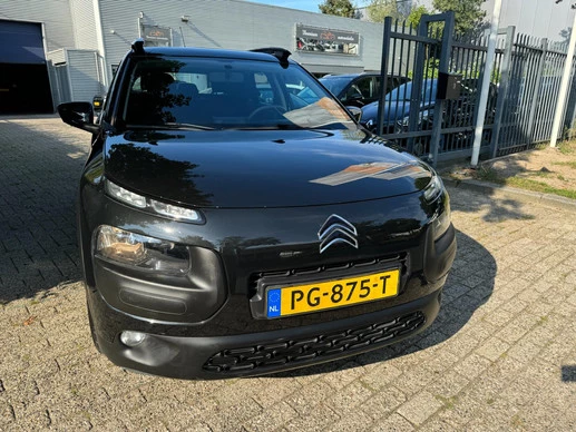 Citroën C4 Cactus - Afbeelding 3 van 30