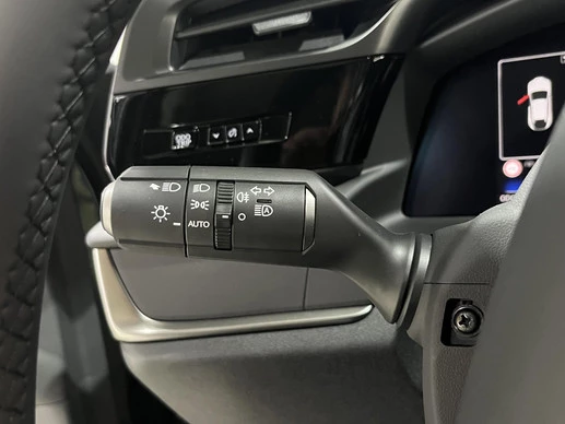 Lexus RZ - Afbeelding 11 van 30