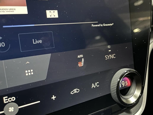 Lexus RZ - Afbeelding 18 van 30