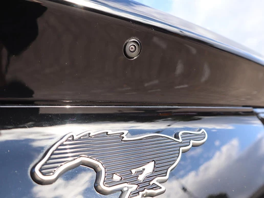 Ford Mustang Mach-E - Afbeelding 12 van 30