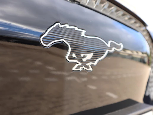 Ford Mustang Mach-E - Afbeelding 15 van 30