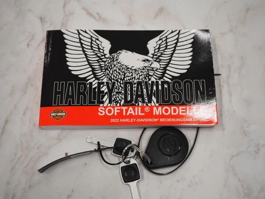 Harley-Davidson Softail - Afbeelding 5 van 30