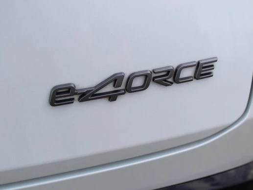Nissan ARIYA - Afbeelding 25 van 30
