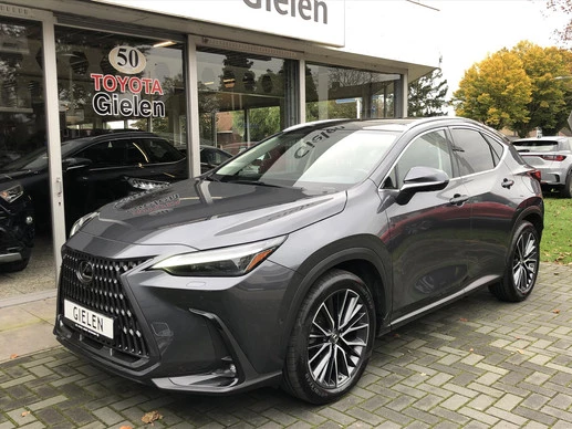 Lexus NX - Afbeelding 10 van 30