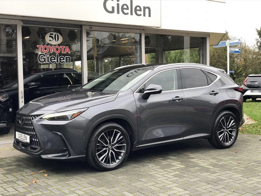 Lexus NX - Afbeelding 16 van 30