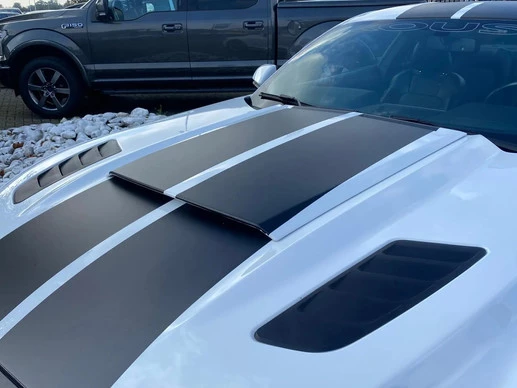 Ford Mustang - Afbeelding 9 van 24