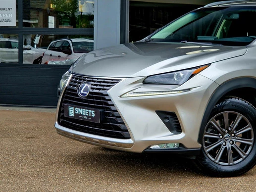 Lexus NX - Afbeelding 13 van 30