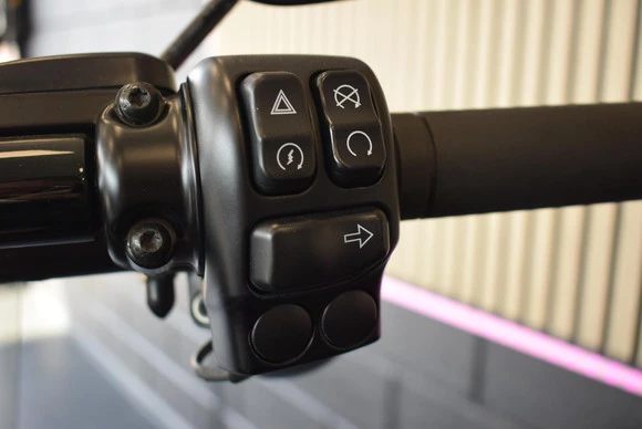 Harley-Davidson Road King - Afbeelding 10 van 15