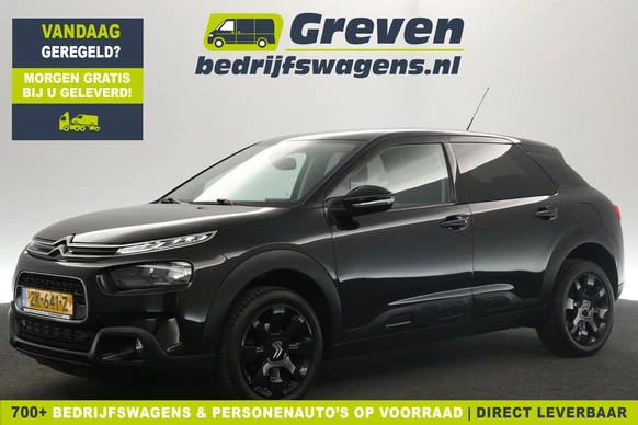 Citroën C4 Cactus - Afbeelding 1 van 30