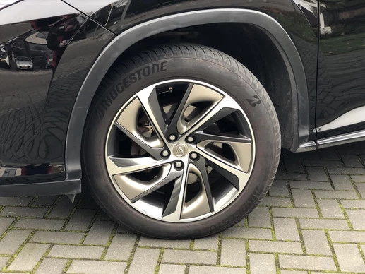 Lexus RX - Afbeelding 14 van 30