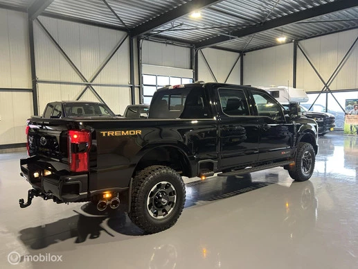 Ford F-250 - Afbeelding 8 van 30