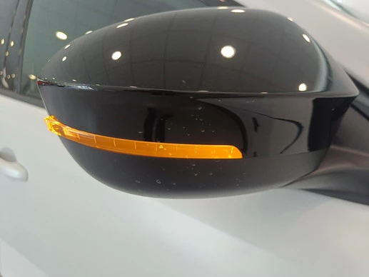 Renault Rafale - Afbeelding 30 van 30