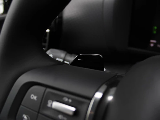 Citroën C4 X - Afbeelding 27 van 30