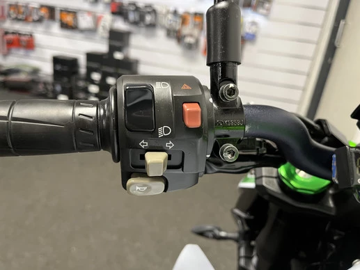 Kawasaki Z1000 - Afbeelding 18 van 19