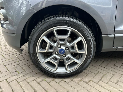 Afbeelding 11