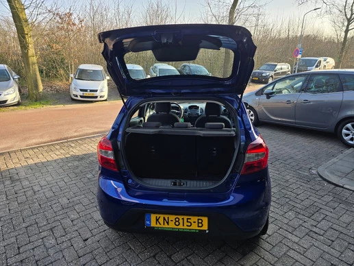 Afbeelding 6