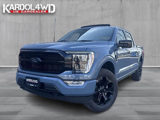 Ford F-150 - Afbeelding 1 van 30