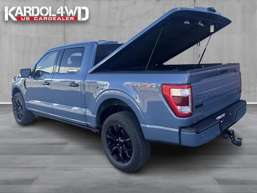 Ford F-150 - Afbeelding 9 van 30