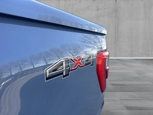 Ford F-150 - Afbeelding 11 van 30
