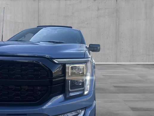 Ford F-150 - Afbeelding 20 van 30