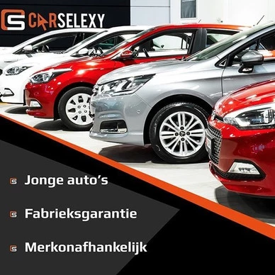 Afbeelding 8
