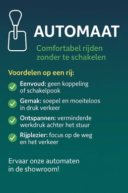 Afbeelding 8
