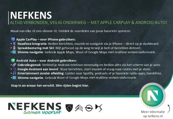 Afbeelding 12