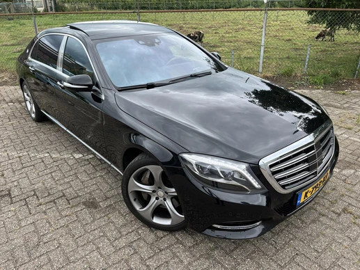 Afbeelding 1