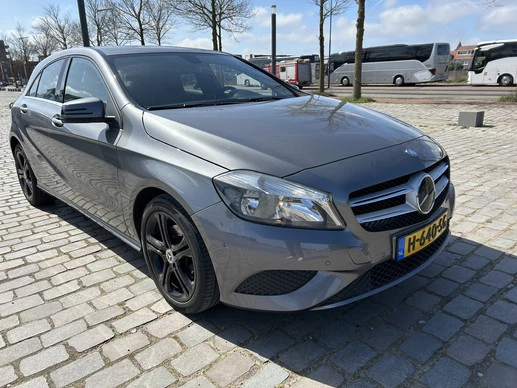 Afbeelding 3