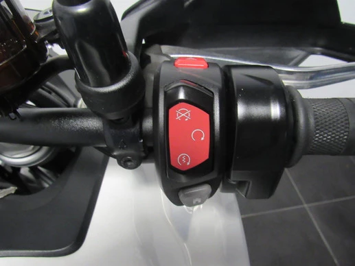 Triumph Tiger - Afbeelding 9 van 10