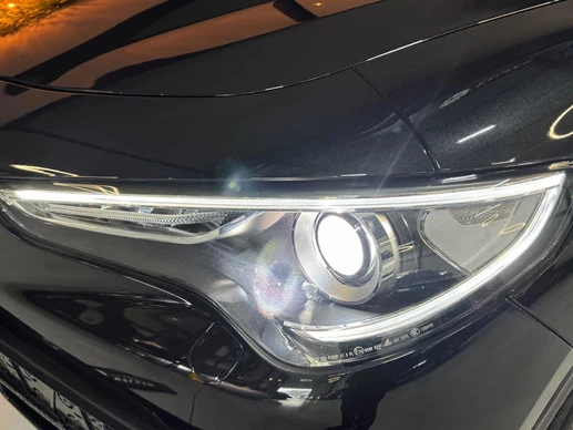 Alfa Romeo Stelvio - Afbeelding 14 van 30