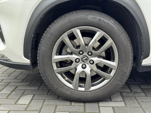 Lexus NX - Afbeelding 10 van 30