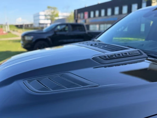 Dodge Ram Pick-Up - Afbeelding 20 van 20