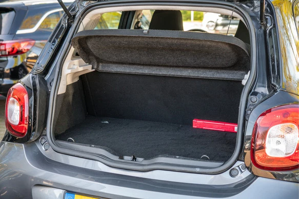 Smart Forfour - Afbeelding 30 van 30
